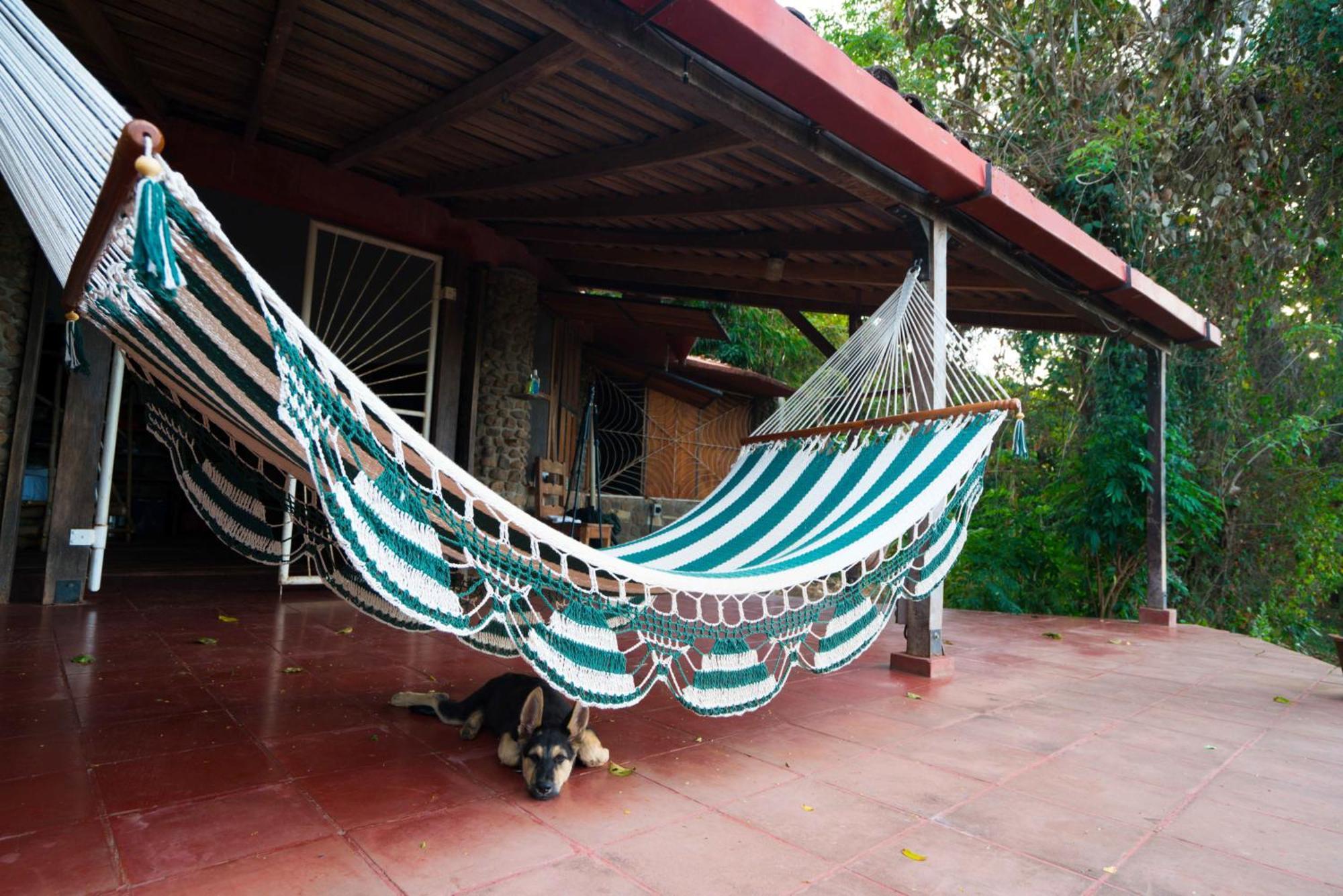 Selvista Guesthouses Balgue Cameră foto